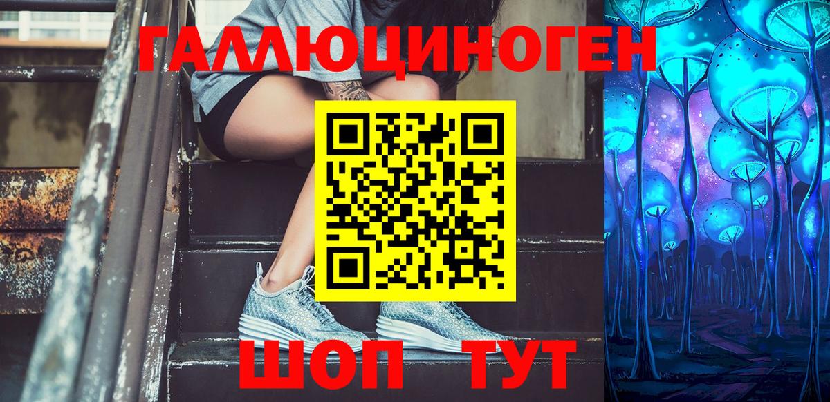 Галлюциногенные грибы GOLDEN TEACHER  Вход с VPN  Псилоцибиновые грибы мицелий  Димитровград 